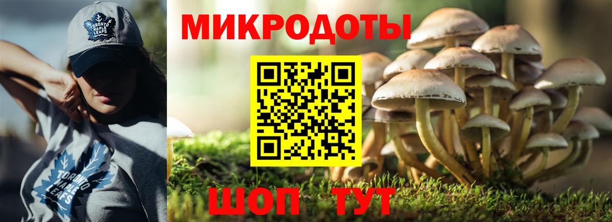 Мирный  Псилоцибиновые грибы GOLDEN TEACHER  Псилоцибиновые грибы Psilocybe  Вход с VPN 